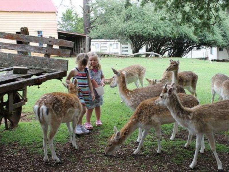 Deer Park Motor Inn Armidale Buitenkant foto